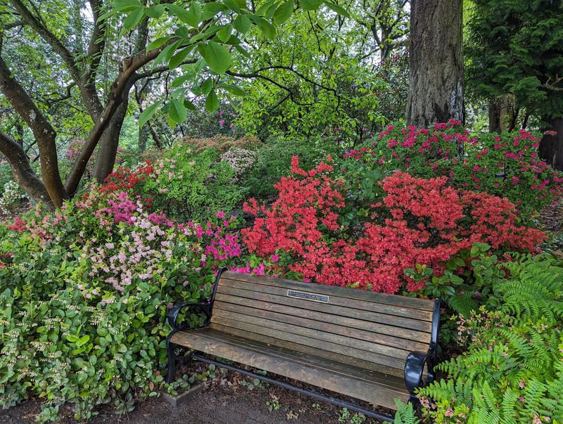 Benches, Picnics, and a Slower Pace