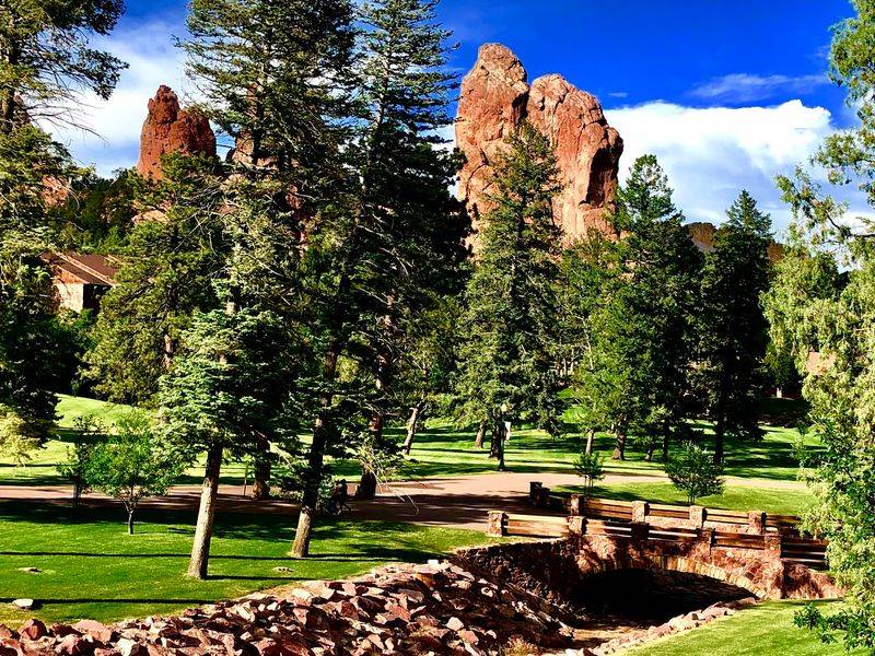 Bighorn Sheep, Roses and Wide Open Grounds