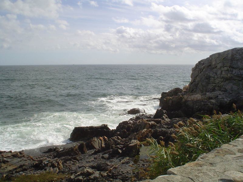 Birdwatchers Get Their Own Quiet Corner Here