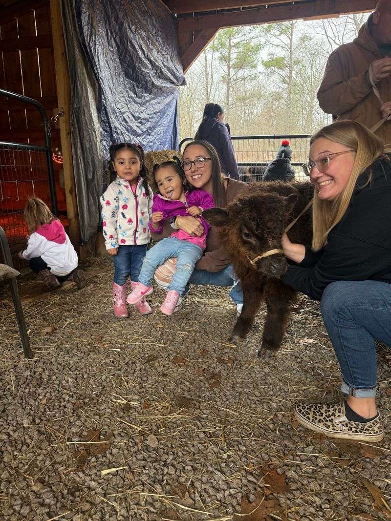Birthday Parties With Hooves