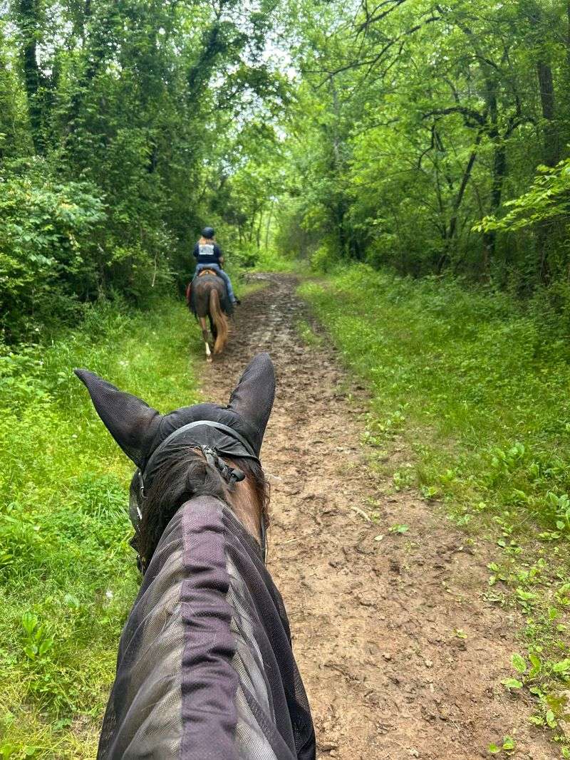 Birthdays Hit Different on Horseback Birthdays Hit Different on Horseback