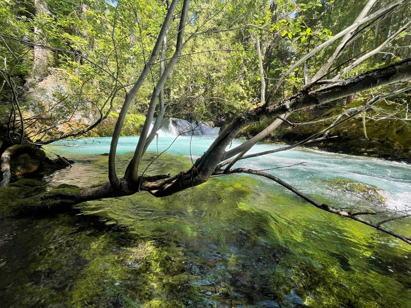 Blue Pools and River Color