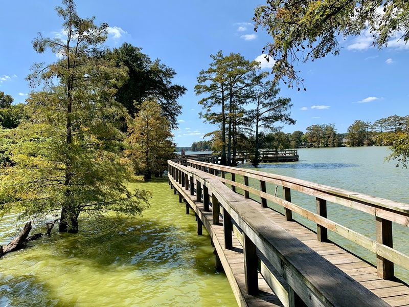 Boardwalks, Cypress, and the Water's Edge Boardwalks, Cypress, and the Water's Edge