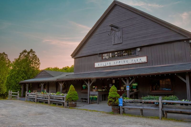 Bolton Spring Farm: Give Bolton a Breakfast Slot