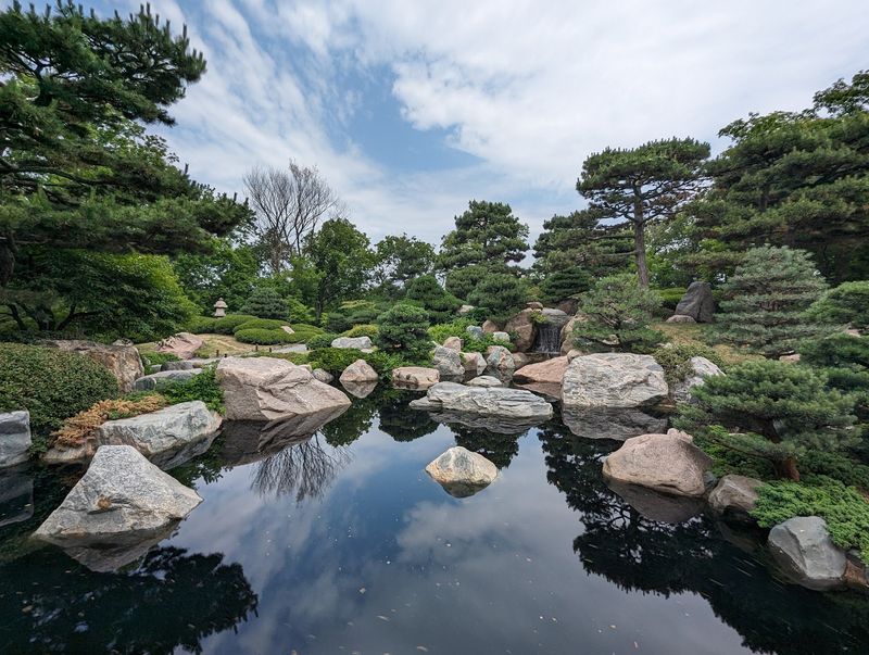 Bonsai Trees and a Japanese Garden
