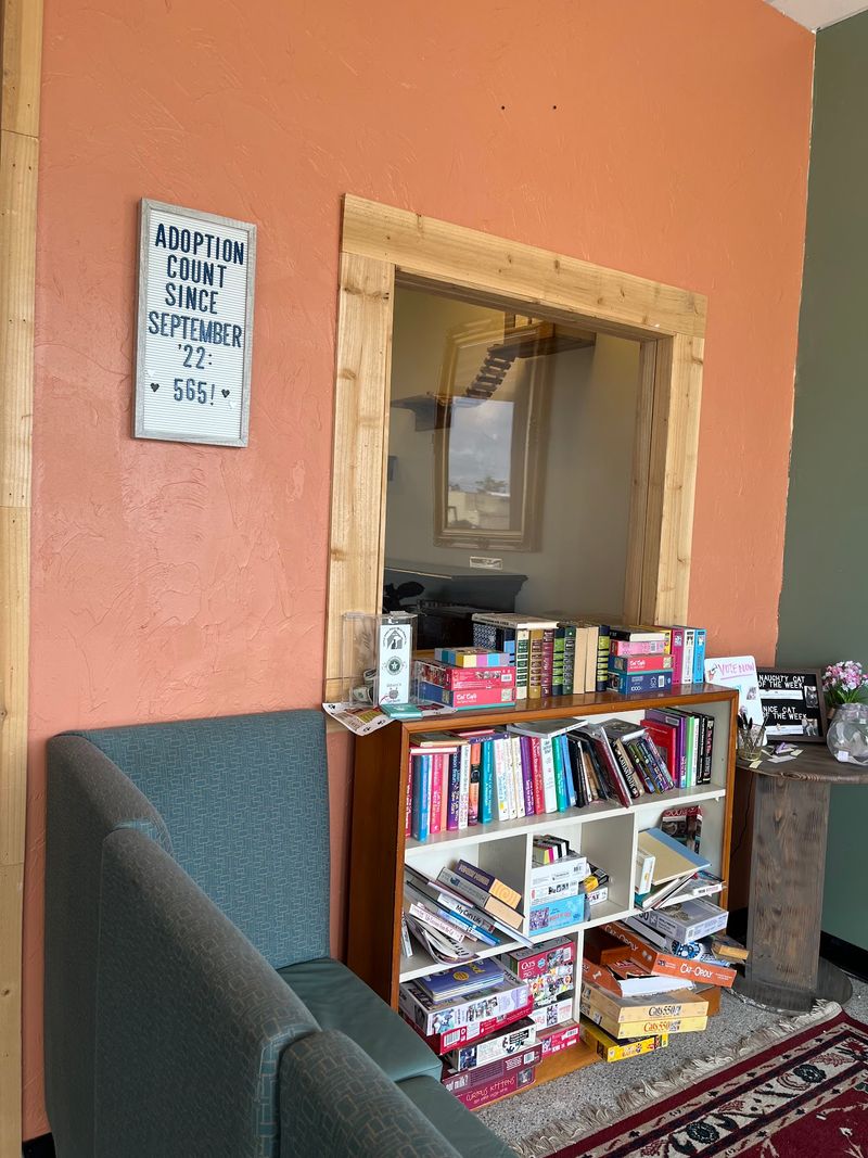 Books and Cat Murals in the Background Books and Cat Murals in the Background