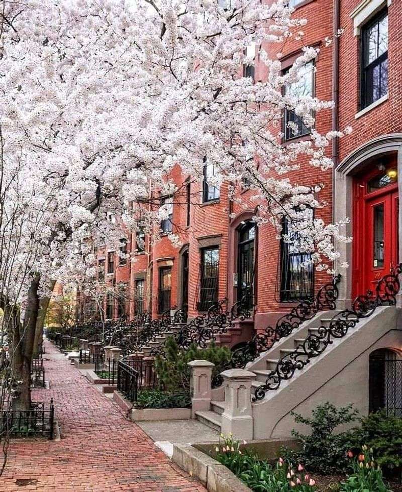 “Boston is just a smaller version of New York City.”