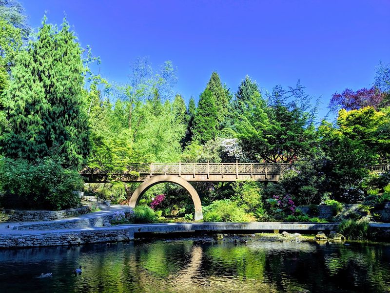 Bridges Built for Reflection