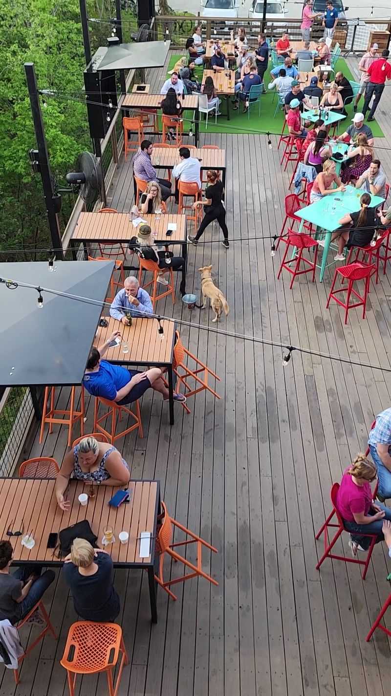 Bring the Dog Along