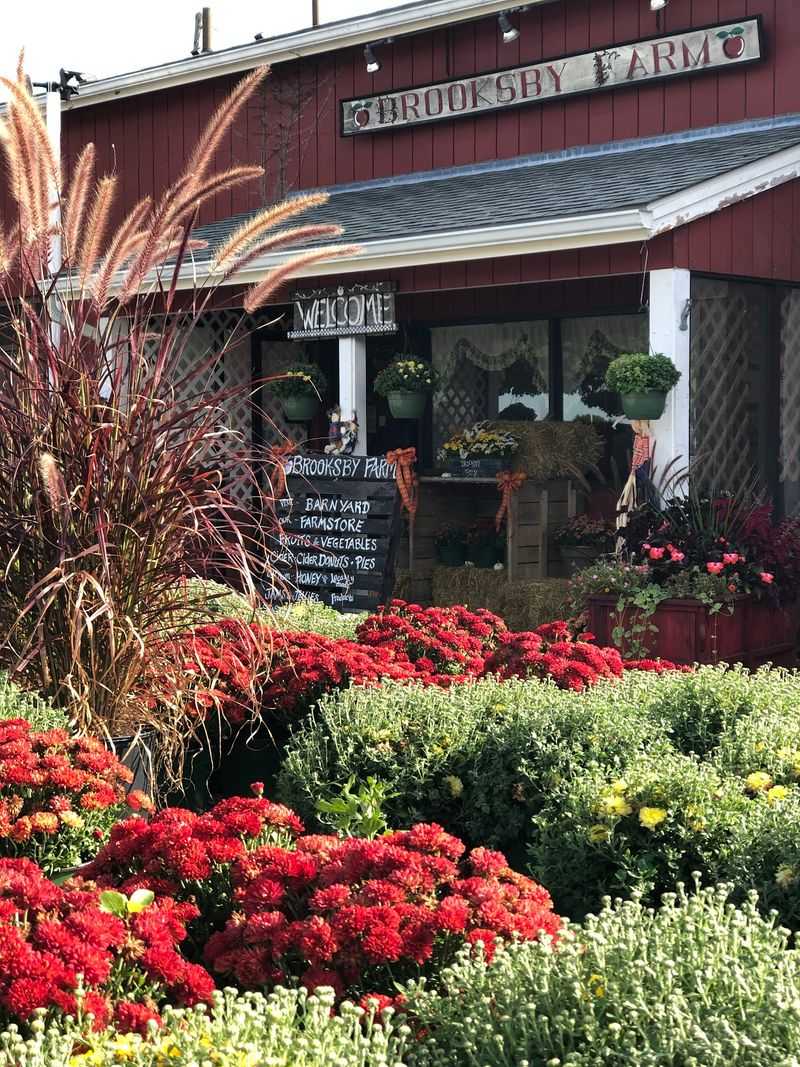 Brooksby Farm: Keep the Peabody Detour Simple