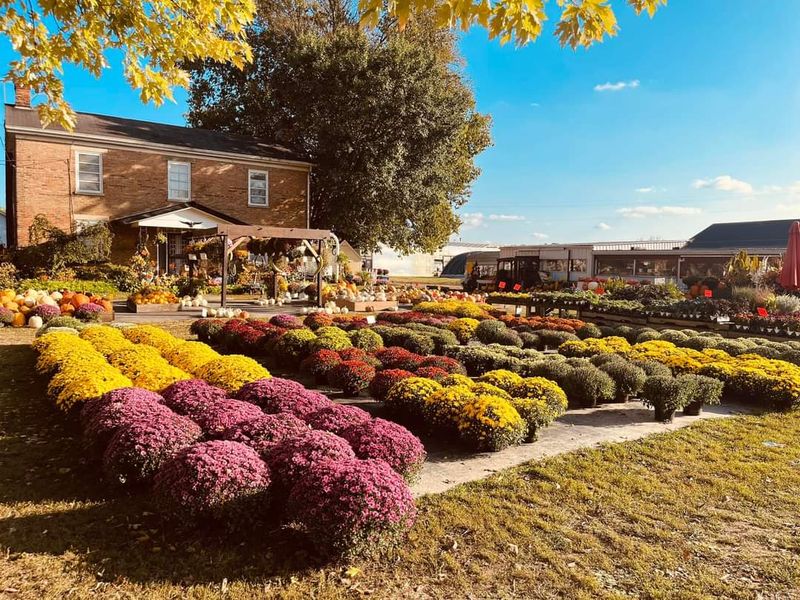 Brown's Family Farm Market, Hamilton