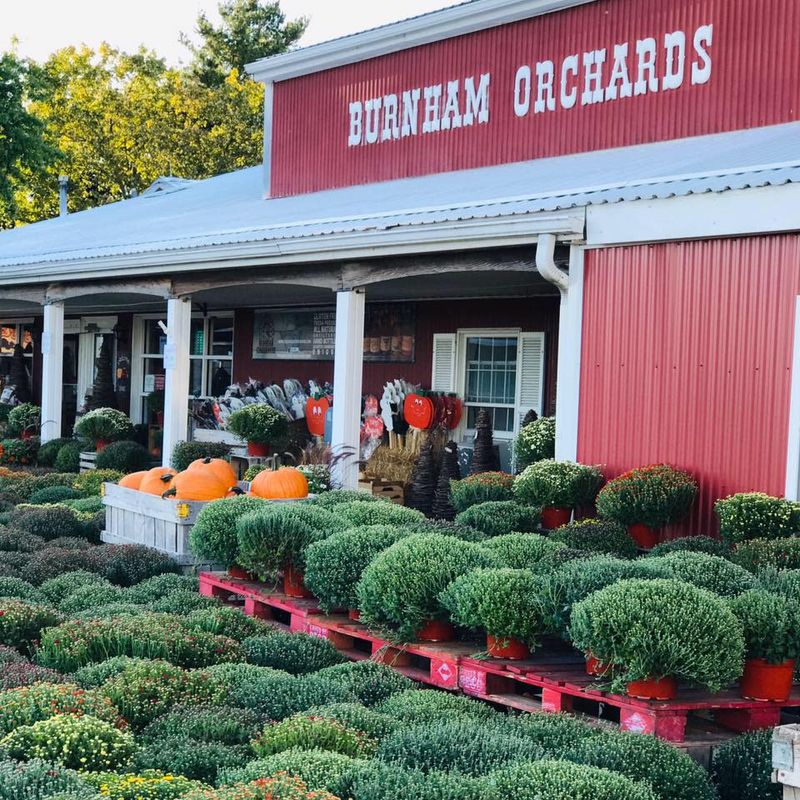 Burnham Orchards, Berlin Heights
