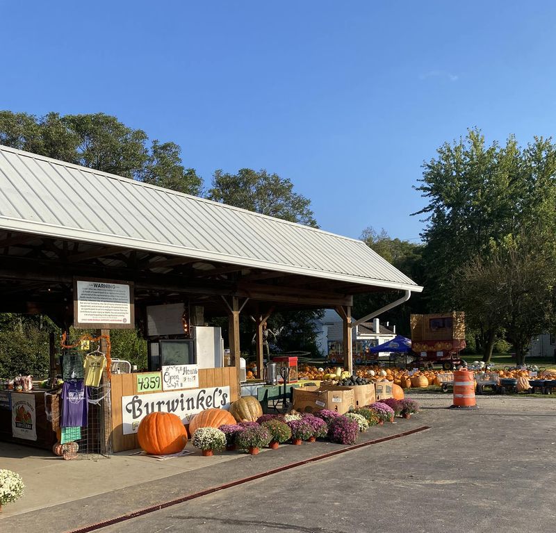 Burwinkel Farms, Hamilton