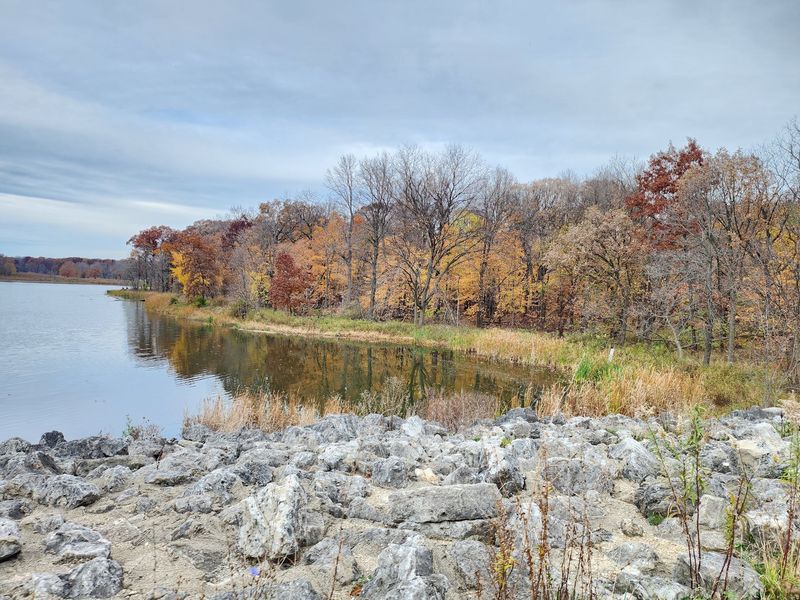 Busse Woods, Elk Grove Village, IL