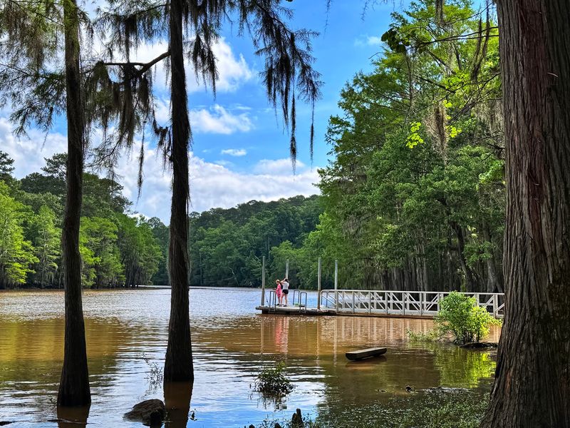 Caddo Lake State Park