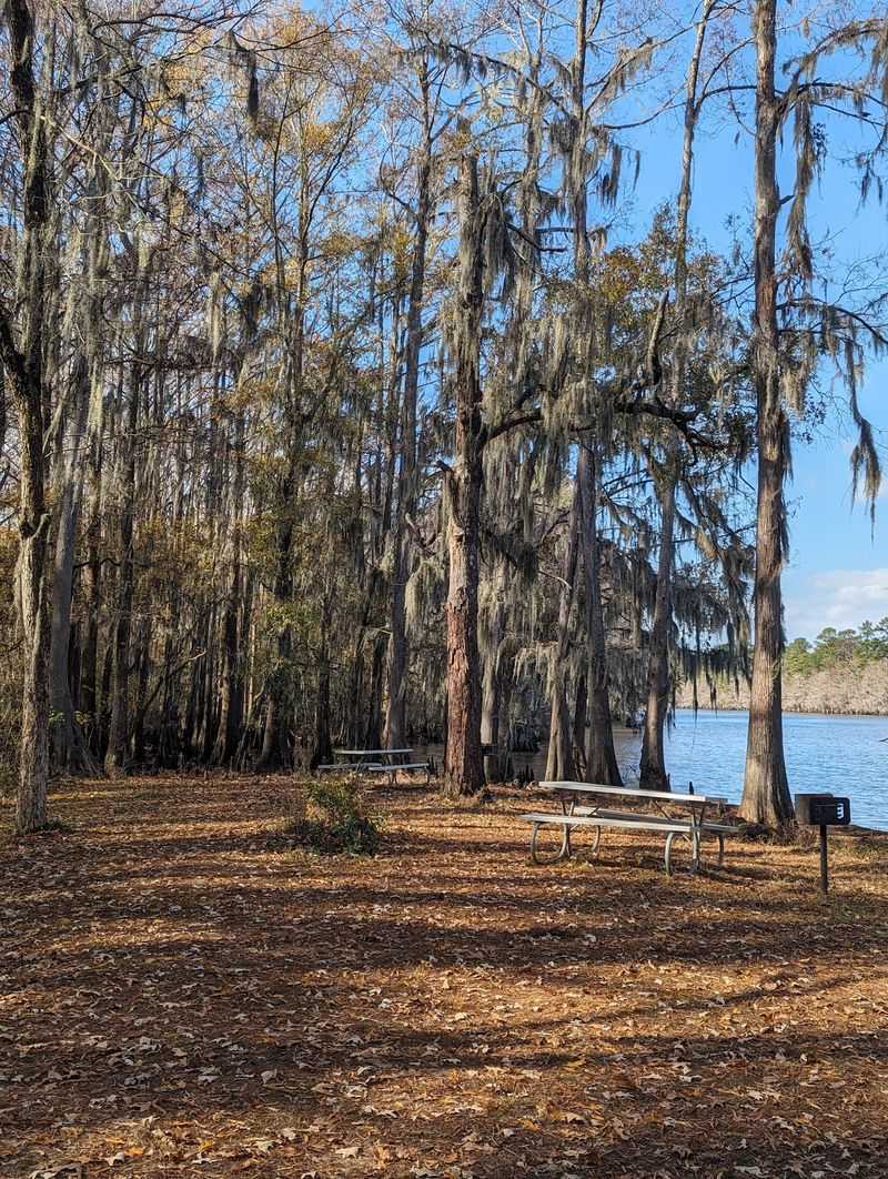 Caddo Lake State Park (Karnack) Caddo Lake State Park (Karnack)