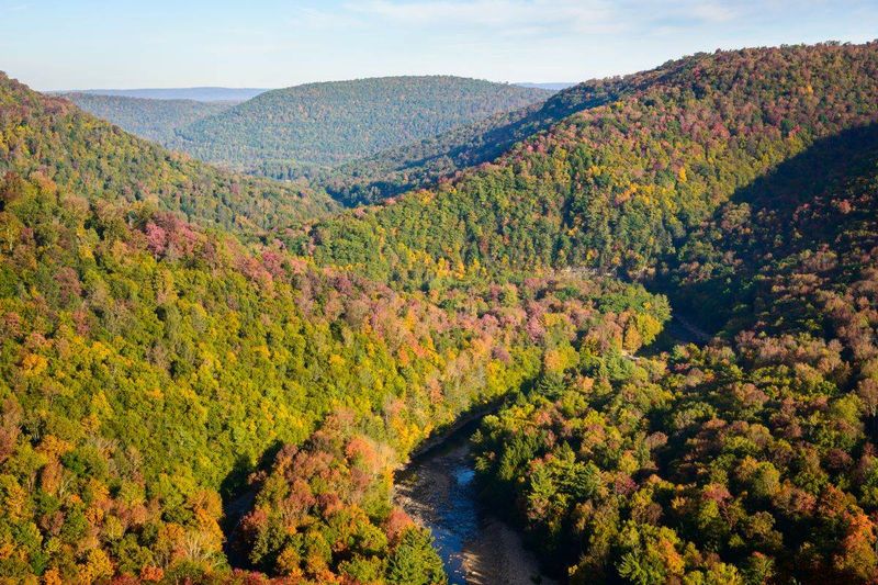 Canyon Vista Trail at Worlds End State Park, Forksville