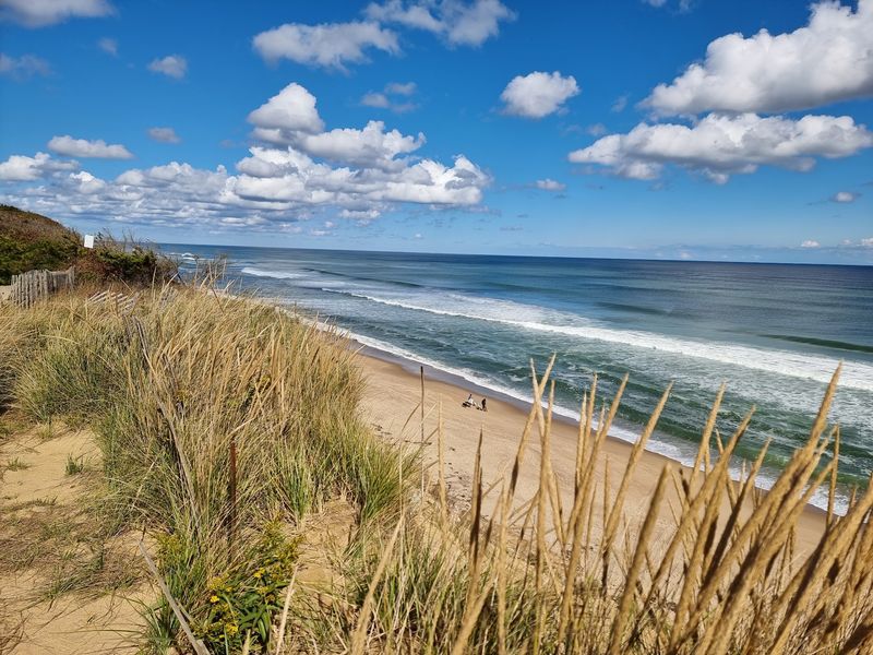 Cape Cod Is the Only Place With Beautiful Beaches. Cape Cod Is the Only Place With Beautiful Beaches.