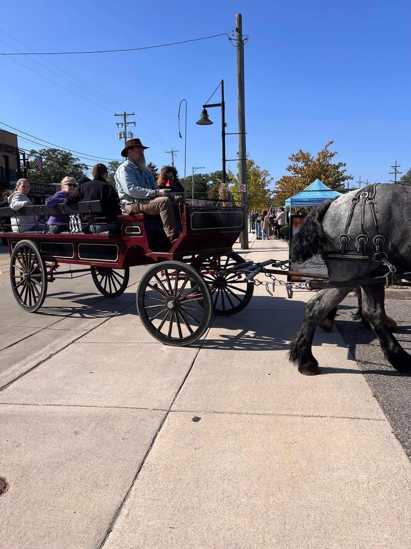 Carriage Rides at a Slower Speed