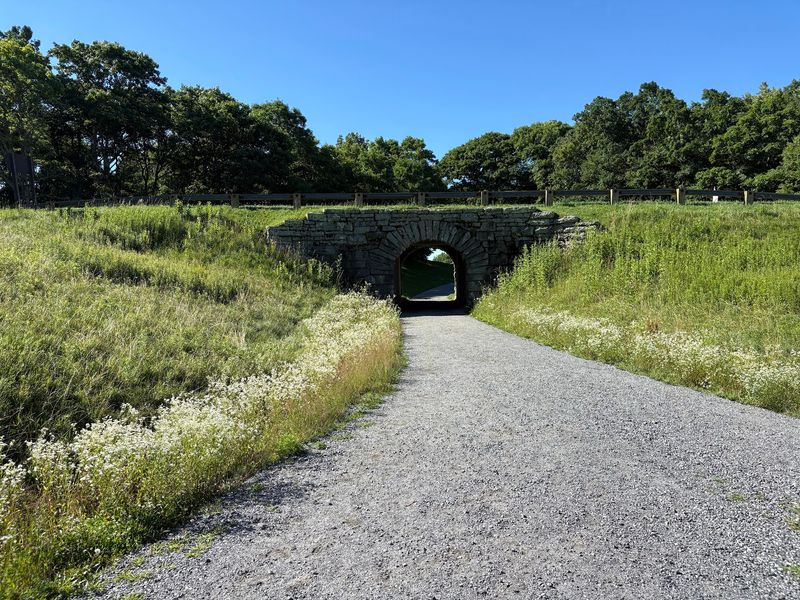 Carriage Roads Built for an Easy Climb