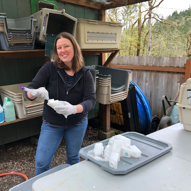 Cascades Raptor Center Volunteer Program