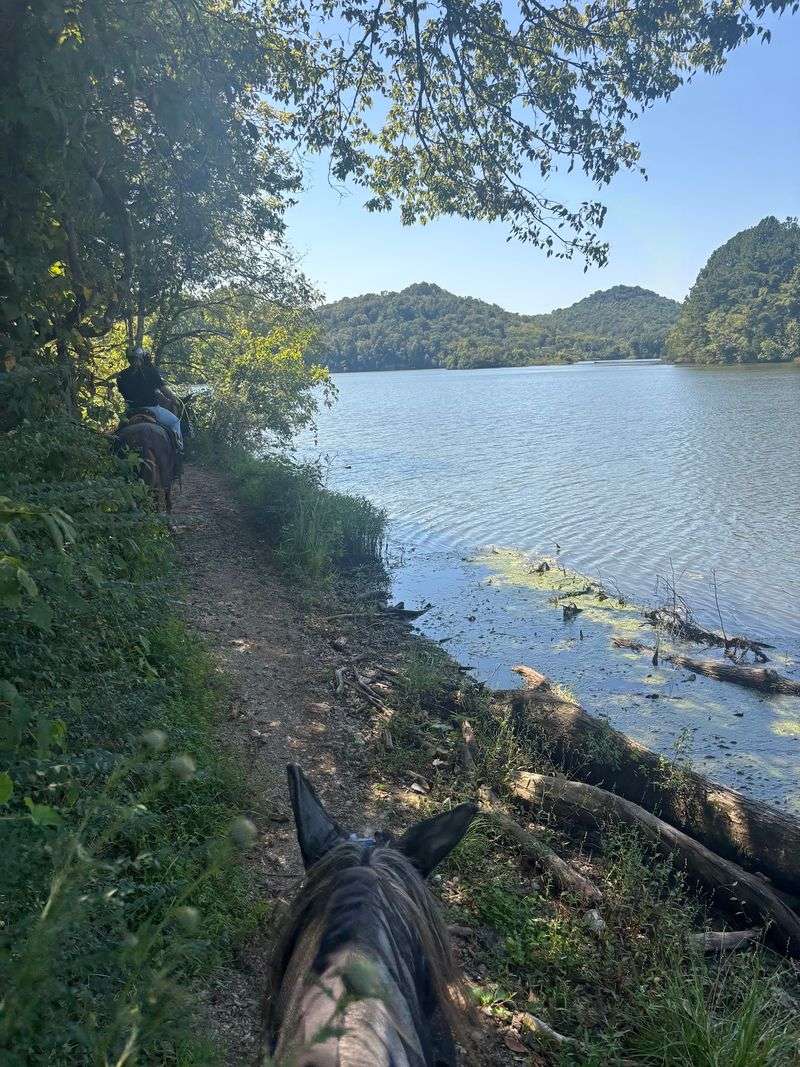 Cast a Line at a Quiet, Shady Fishing Hole Cast a Line at a Quiet, Shady Fishing Hole