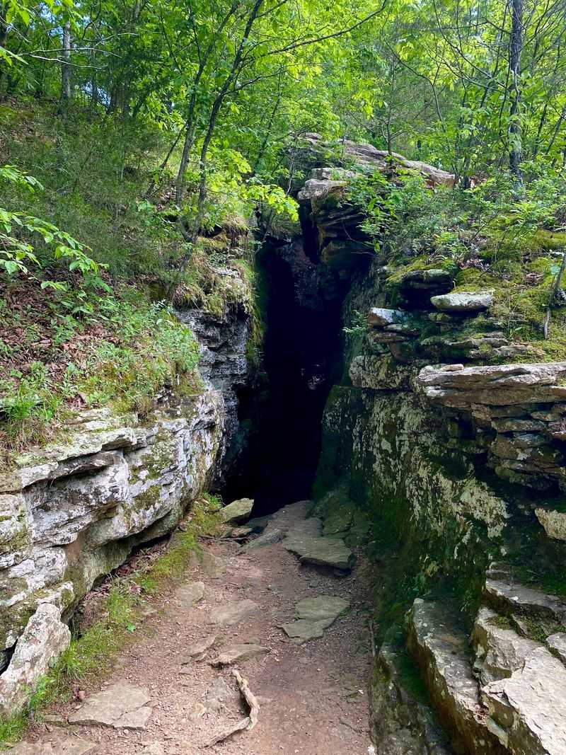 Caves, Creeks, and the Devil's Den Trail