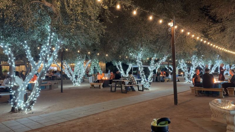Celebrations in the Grove