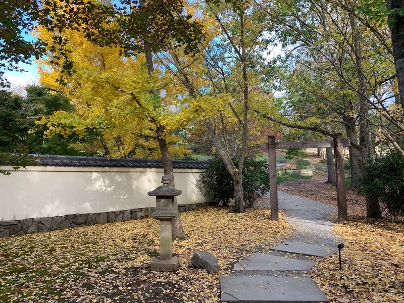 Cheekwood