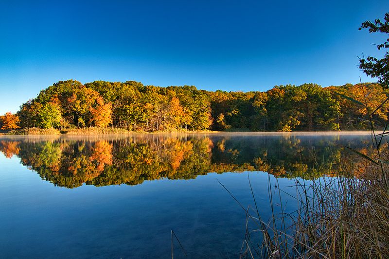 Cheesequake State Park Cheesequake State Park
