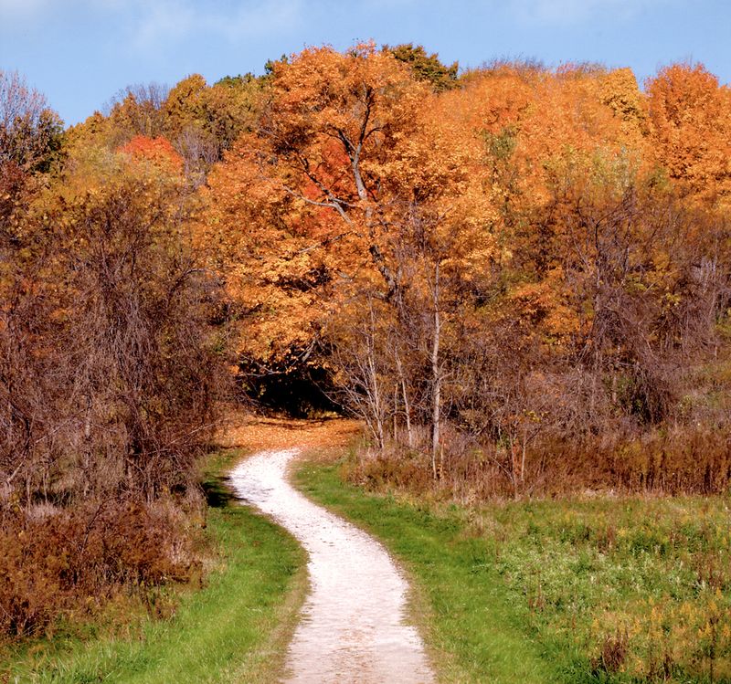 Chestnut Ridge Metro Park, Carroll