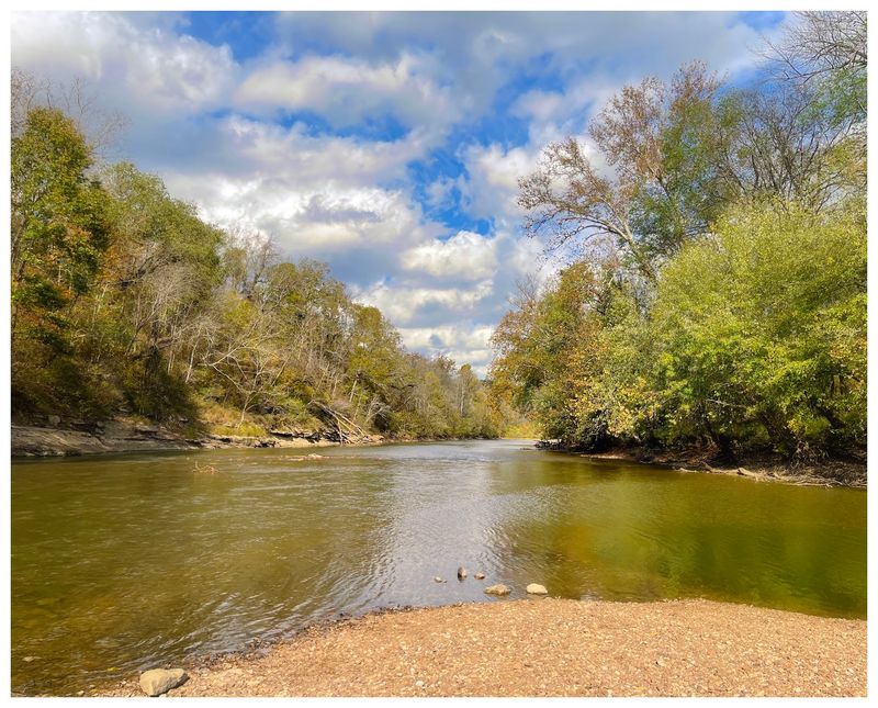 Chickasaw Trace Park - Columbia