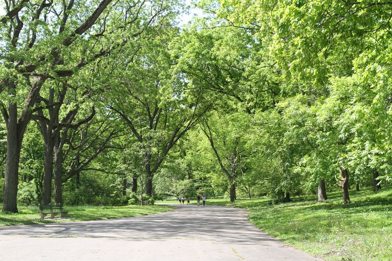 Choose a Short Stroll at Arnold Arboretum, Boston