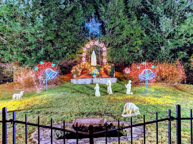 Christmas Lights With a Reflective Mood