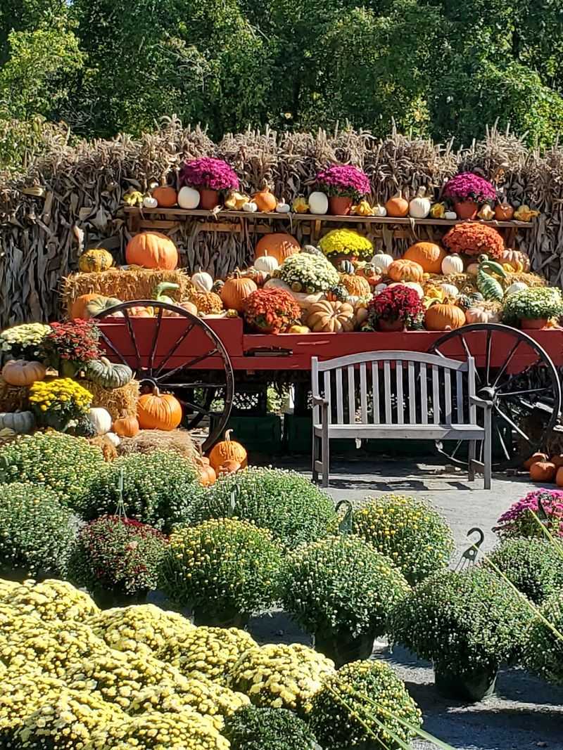 Cider Hill Farm: Make an Amesbury Harvest Loop