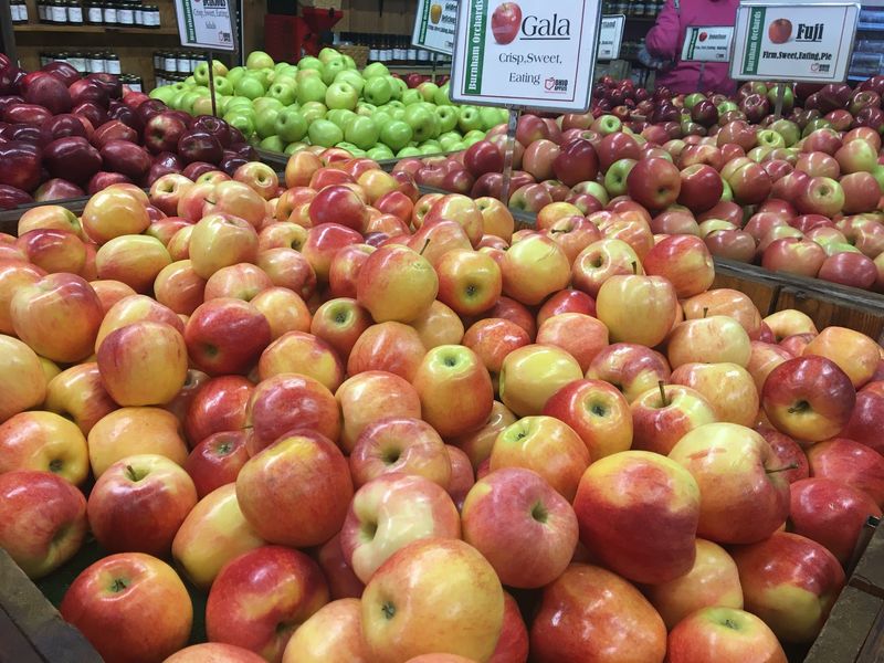 Cider Slushies And Fresh Cider Steal The Show Cider Slushies And Fresh Cider Steal The Show