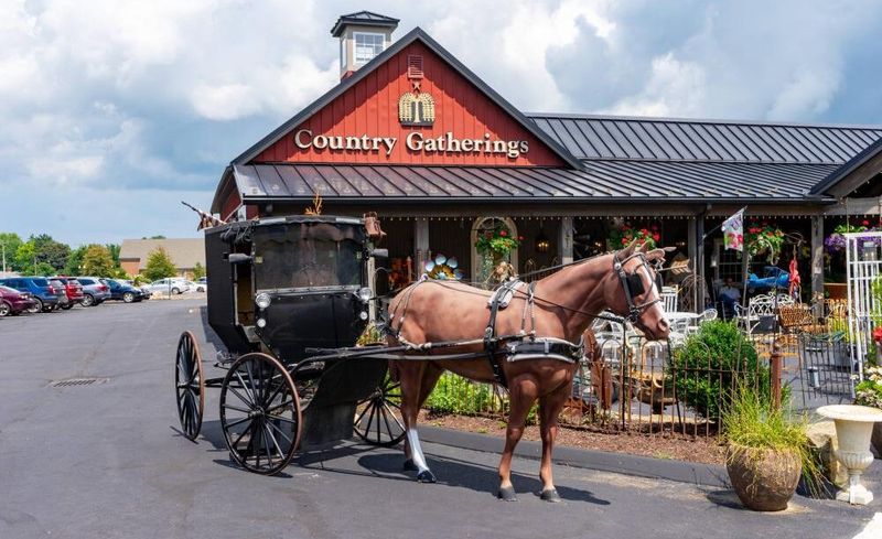 Climb Aboard A Buggy And Peek Inside An Amish Home