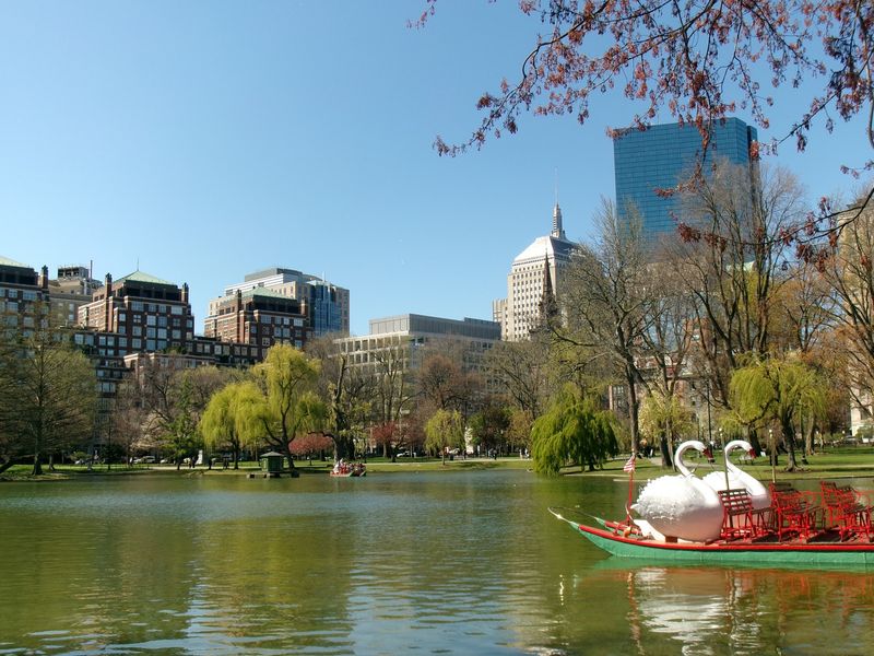 Climb Aboard A Swan For The Sweetest Ride In Town Climb Aboard A Swan For The Sweetest Ride In Town