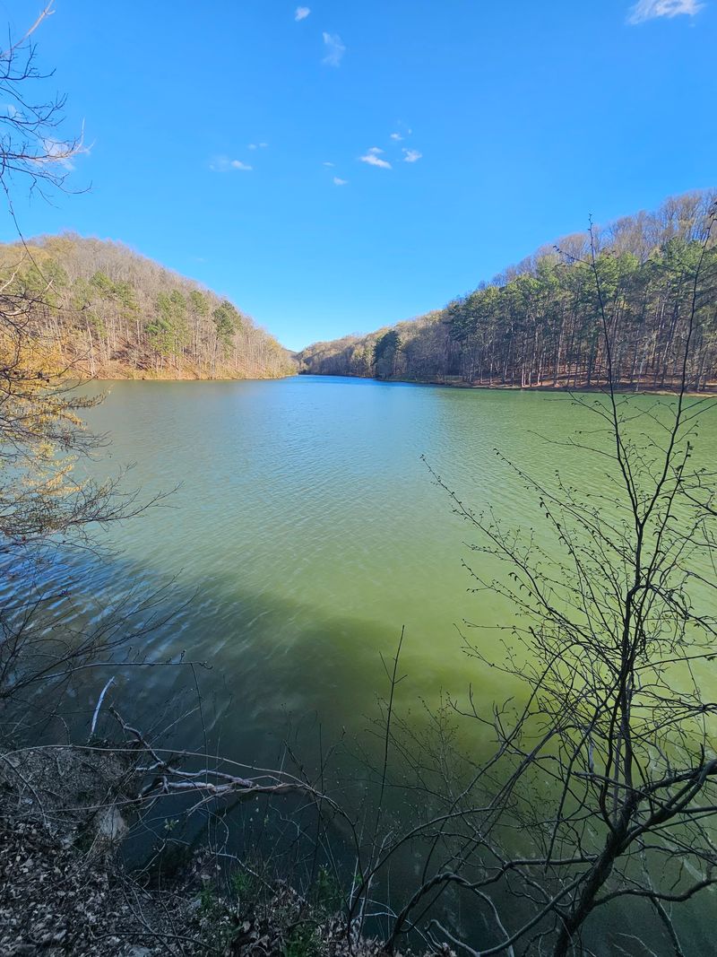 Cold Lake Water Makes the Whole Thing Possible