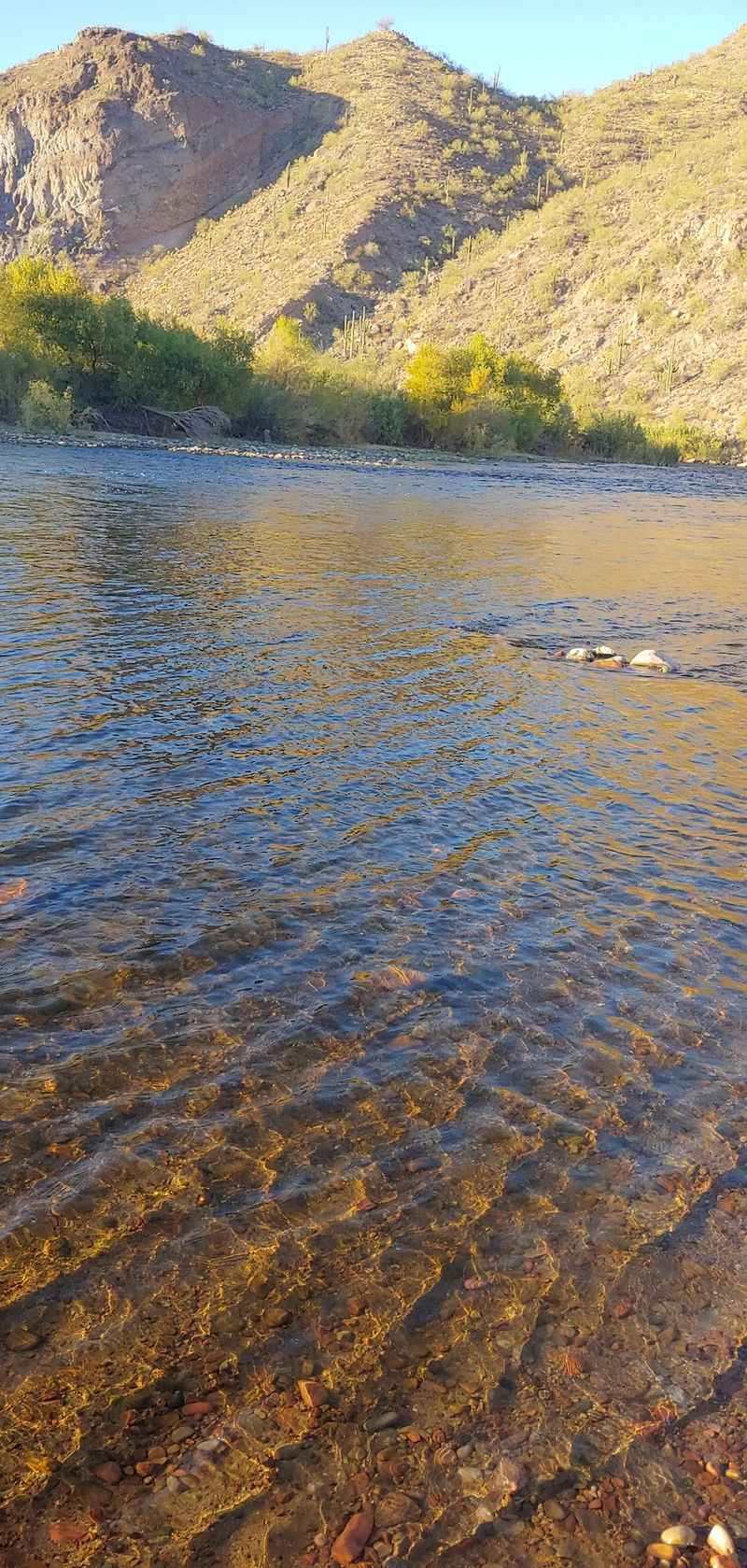 Cold Water, Clear Current Cold Water, Clear Current