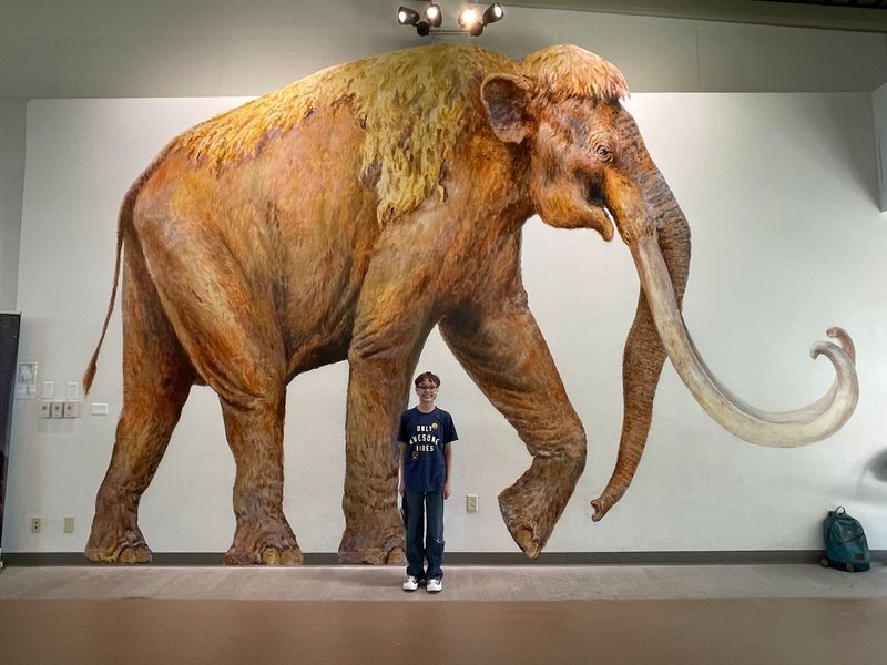 Columbian Mammoths, Not Woolly Ones Columbian Mammoths, Not Woolly Ones