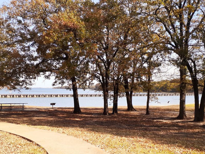 Cooper Lake State Park (Cooper) Cooper Lake State Park (Cooper)