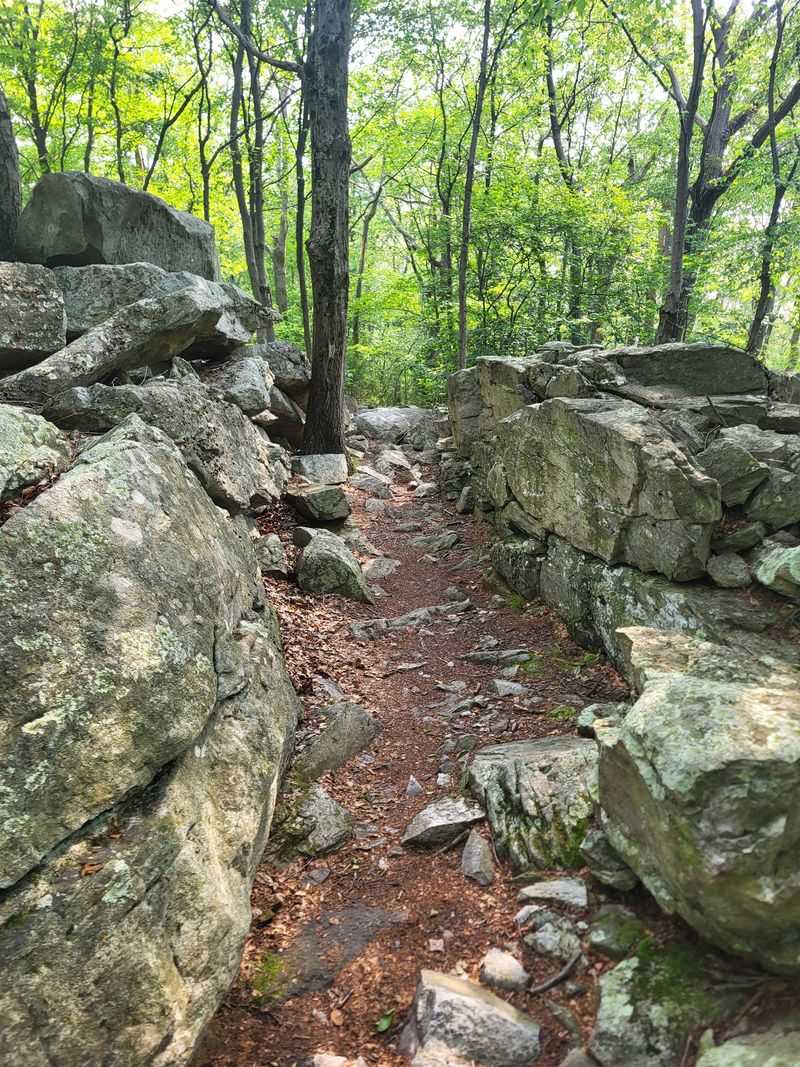 Copperheads Can Blend Into the Rocky Ground