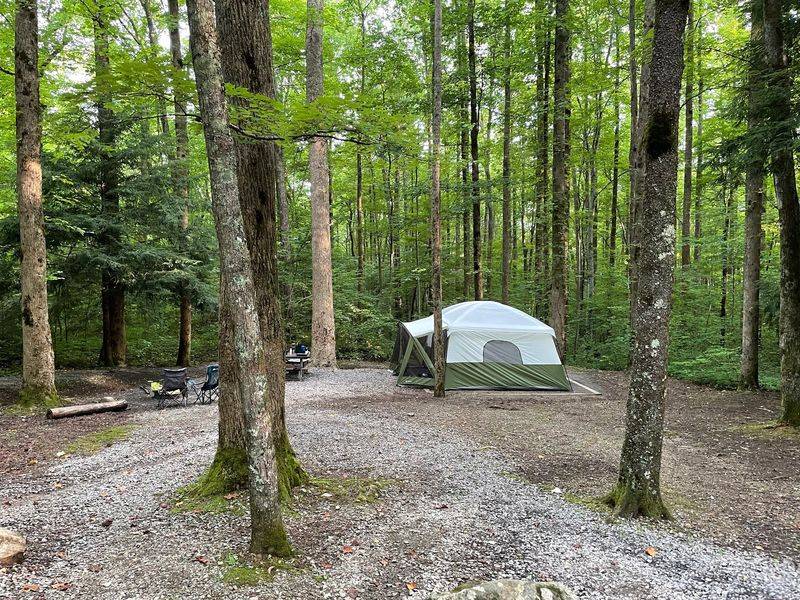 Cosby Campground