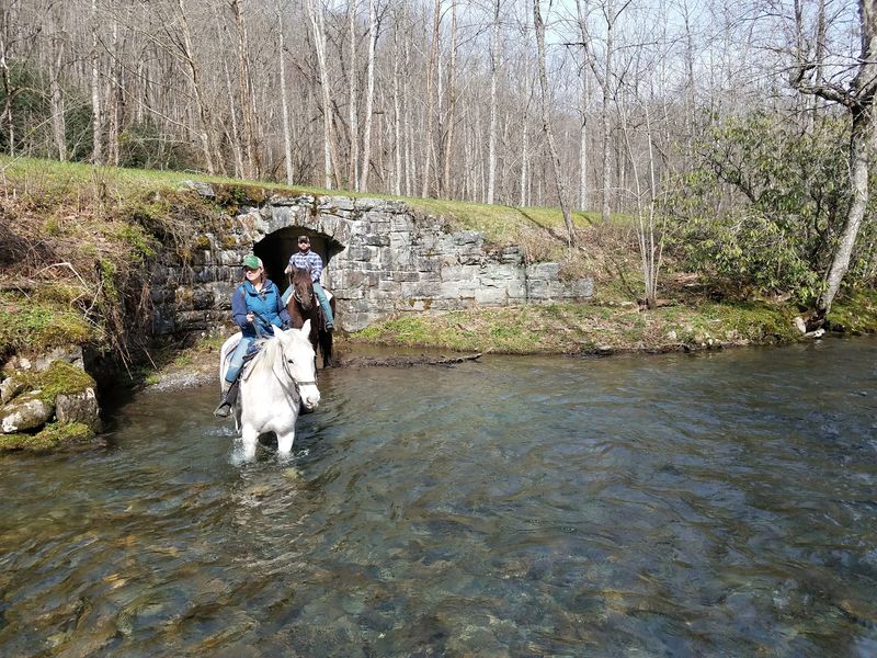 Creek Crossings for Shorter Schedules