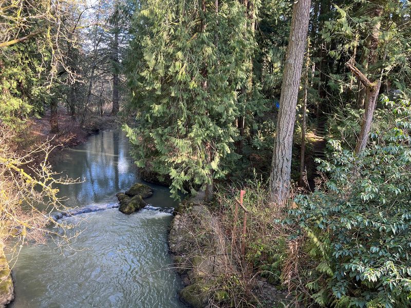 Creekside Trails and a Brand-New Bridge Creekside Trails and a Brand-New Bridge
