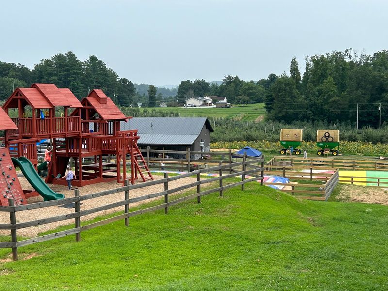 Crowds, Pups, and Practical Footing