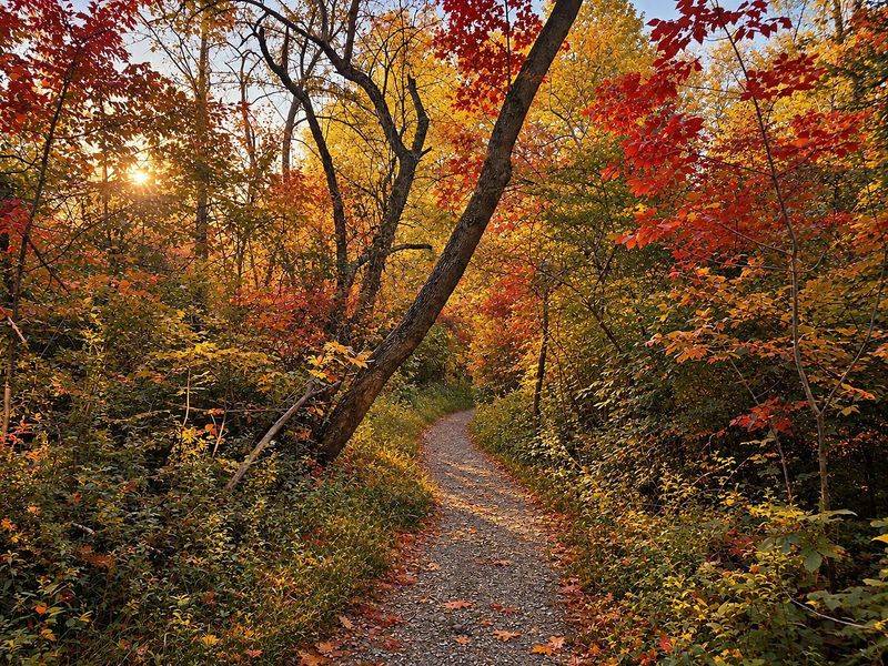 Cuyahoga Valley National Park: Fall Along the Towpath