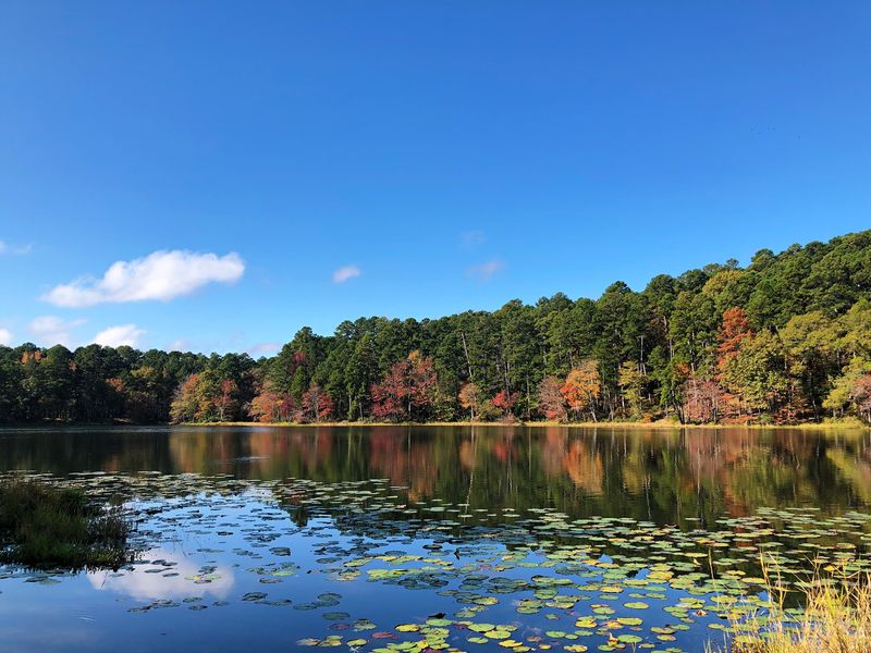 Daingerfield State Park (Daingerfield) Daingerfield State Park (Daingerfield)