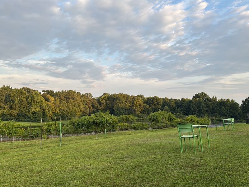 Delta Blues Winery in Lakeland Delta Blues Winery in Lakeland